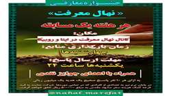 جشنواره معارفی «نهال معرفت»